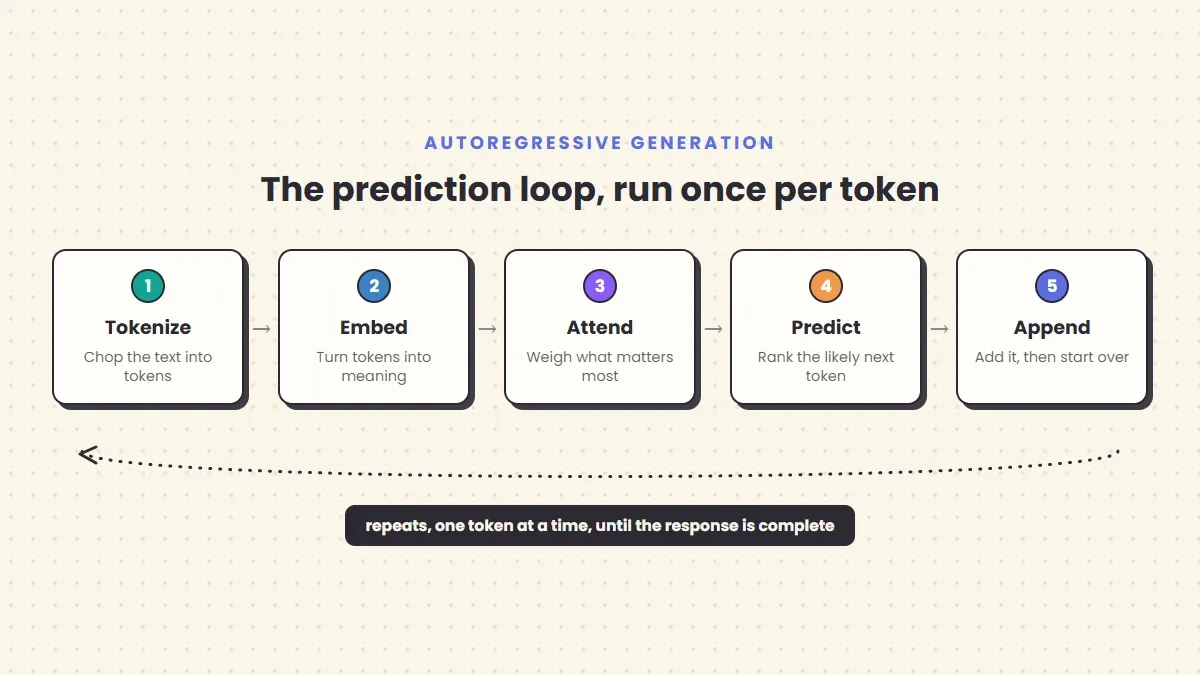 A loop diagram showing tokenize, embed, attend, predict next token, then append and repeat until the response is complete